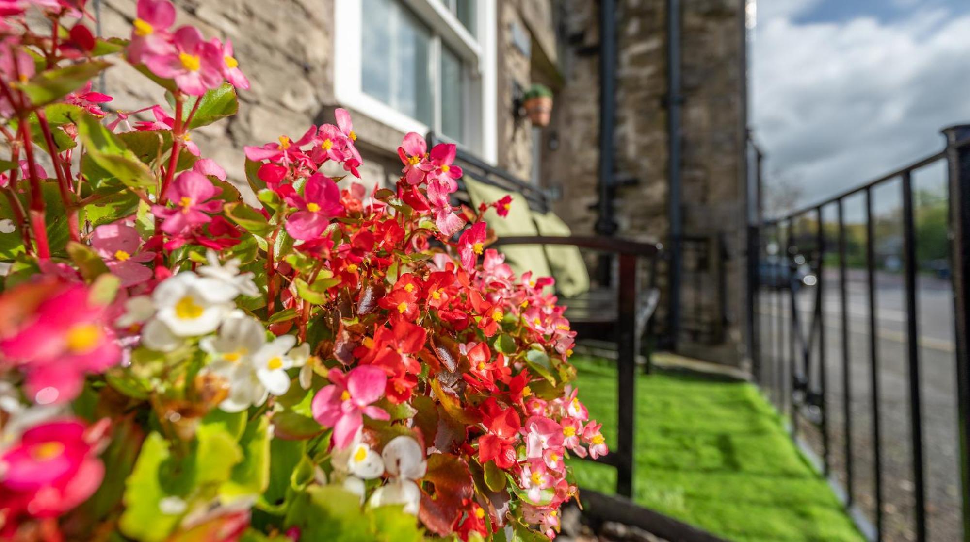 Wee Toad Hole Heart Of Kendal - Cottage Sleeps 4-6 - Dogs Welcome Extérieur photo